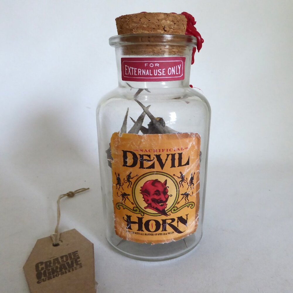NEW APOTHECARY GLASS BOTTLE DEVIL HORN HALLOWEEN GOTHIC ODDITY PROP HARRY POTTER